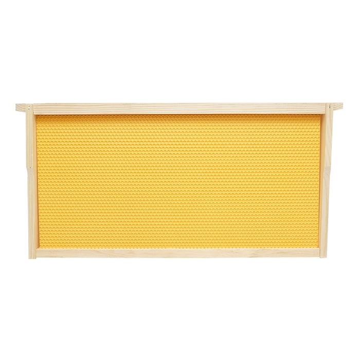 Telaio per arnia in legno con favo in plastica tipo Dadant, dimensioni 483x448x232 mm