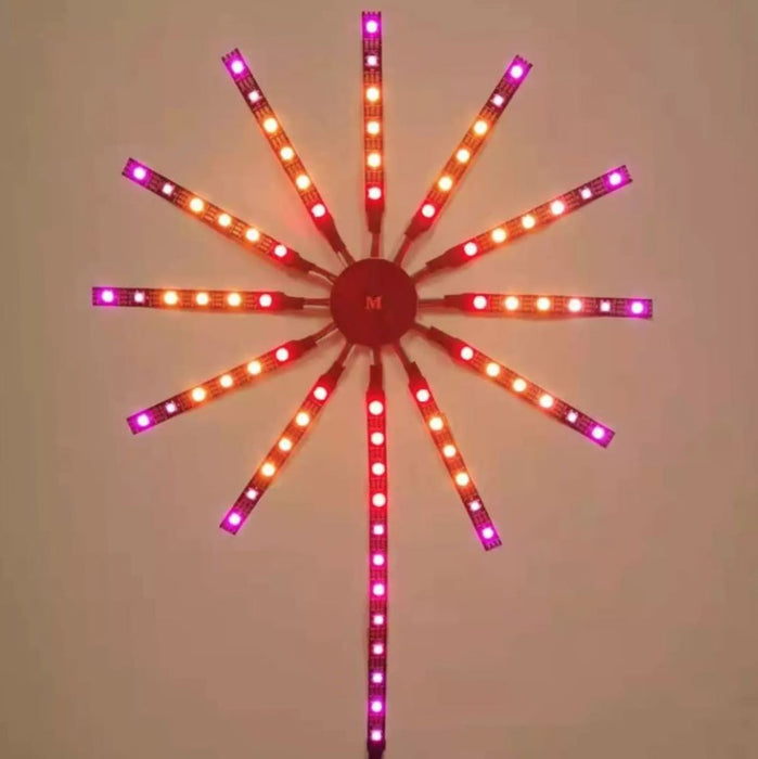 28340031