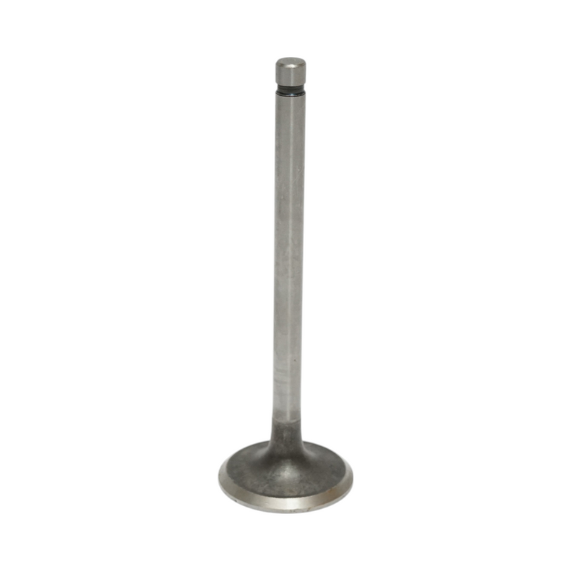 Valvola di aspirazione Ford, codici OEM 81823823, 81842750, 87295251, C5NN6507B, D3NN6507A