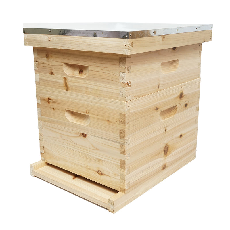 Arnia in legno, modello Dadant, 500x430x310 mm