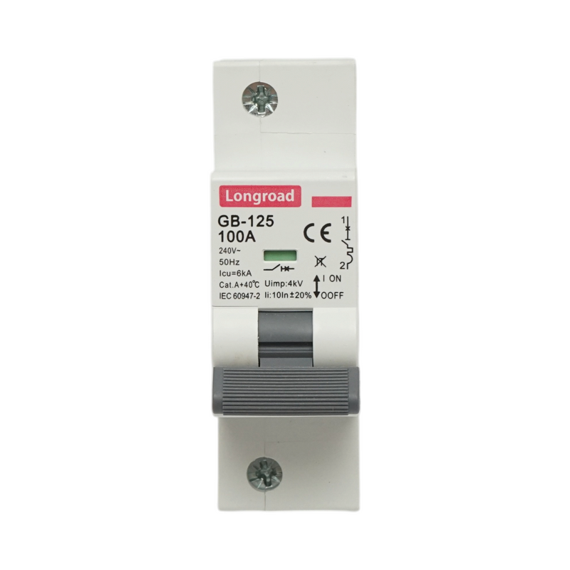 Interruttore automatico magnetotermico (MCB) Longroad, 1P, 100 A 240 V CA, 6 kA