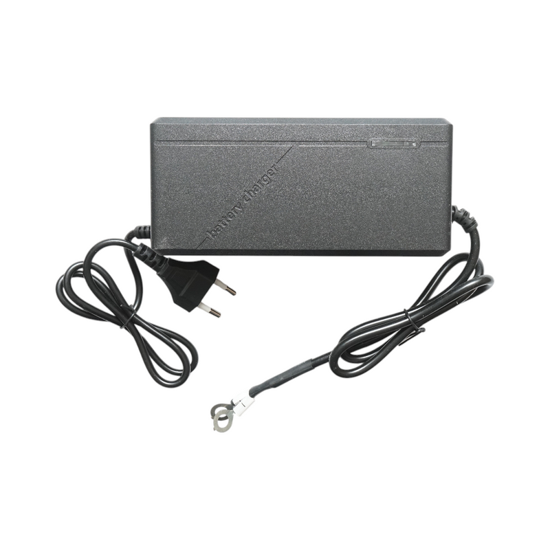 Caricabatterie intelligente automatico da 12,8 V e 10 A per batterie LiFePO4, dotato di protezioni multiple.