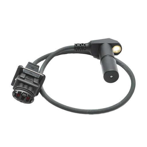 45565503