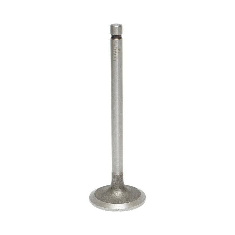 Valvola di aspirazione New Holland, Ford, codici OEM 81865092, 83999675