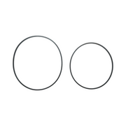 39443509