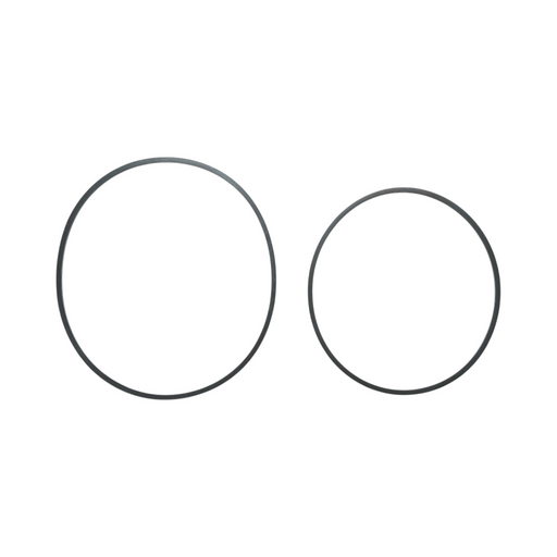 39443509