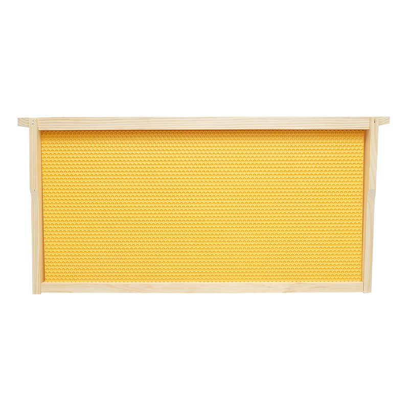 DISTT75_1_984f311d-c108-4a1c-9c83-c89216d0c0a3.jpeg (28529216)