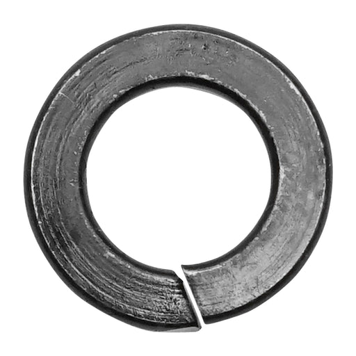29629730
