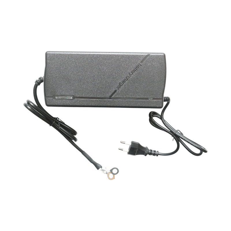 Caricabatterie intelligente automatico da 25,6 V 10 A per batterie LiFePO4 con protezioni multiple