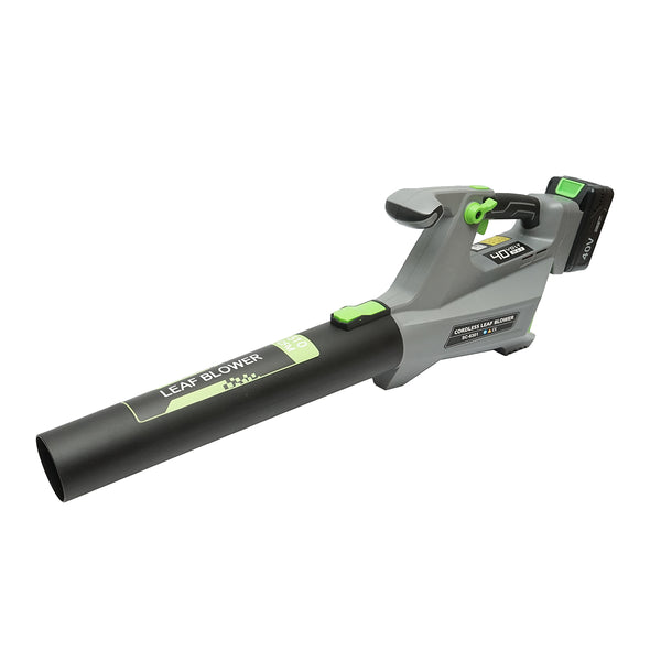 Soffiatori e Aspiratori per foglie