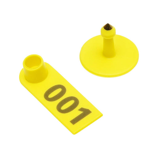 28317304