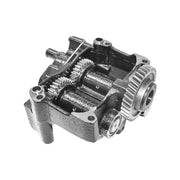 43900500