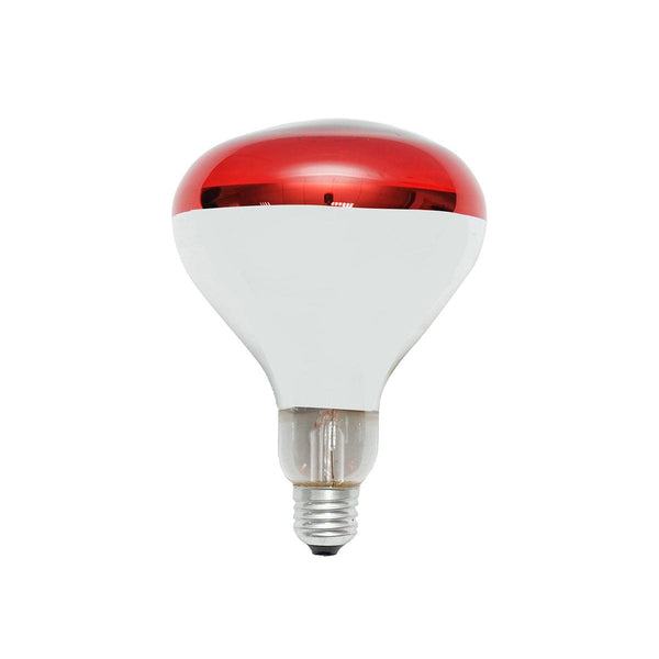 Incubatrici e Accessori