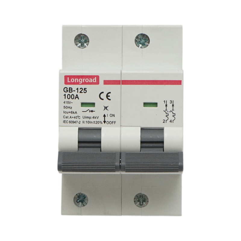 Interruttore automatico magnetotermico (MCB) Longroad, 2P, 100A, 415VAC, 6kA