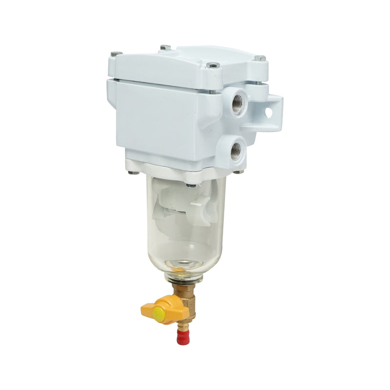 Gruppo filtro carburante diesel con separatore d'acqua 300FGSWK-2000/10/H