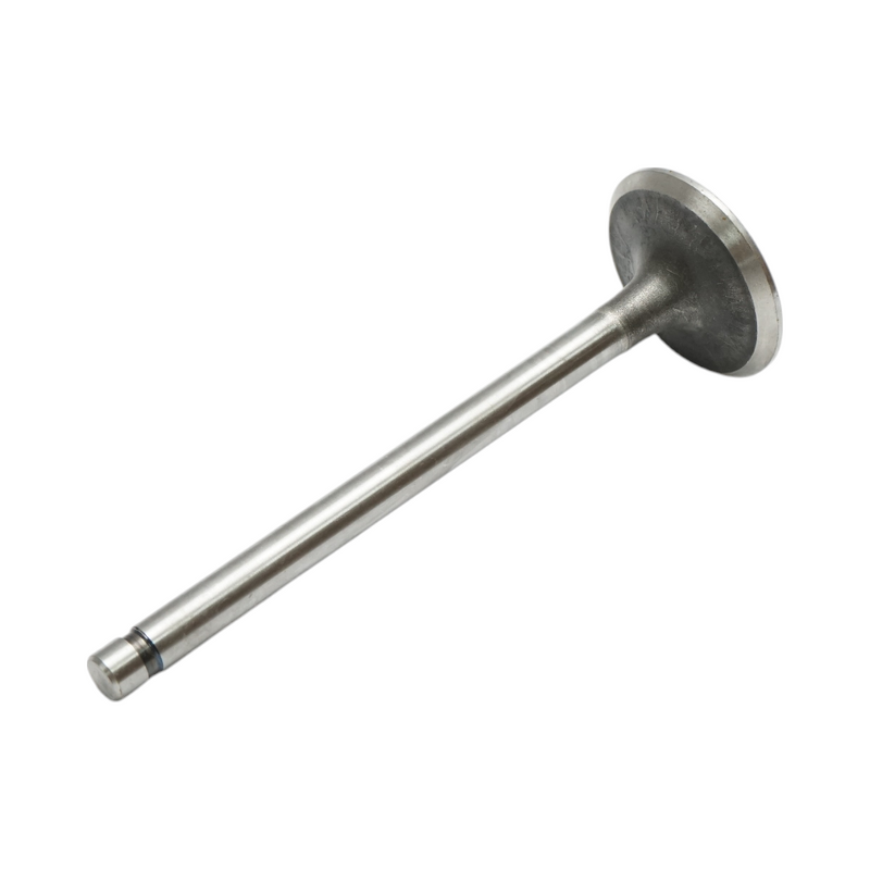 Valvola di aspirazione Ford, codici OEM 81823823, 81842750, 87295251, C5NN6507B, D3NN6507A