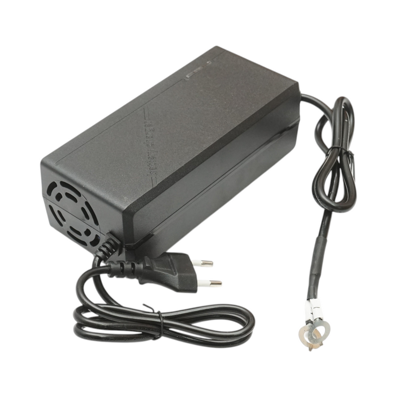 Caricabatterie intelligente automatico da 12,8 V e 10 A per batterie LiFePO4, dotato di protezioni multiple.