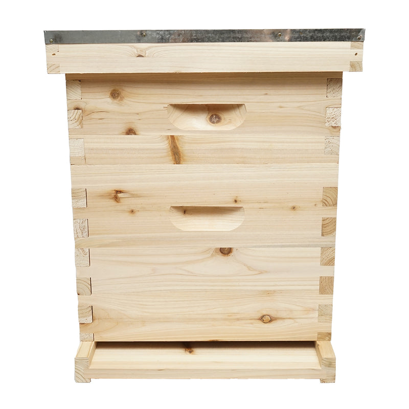 Arnia in legno, modello Dadant, 500x430x310 mm