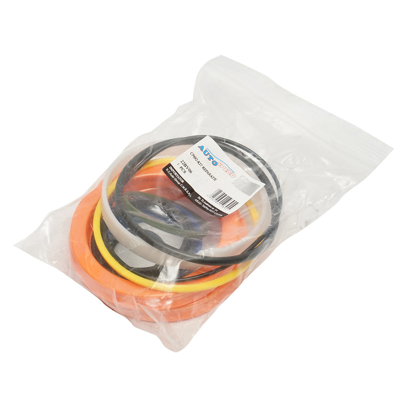 Kit guarnizioni per la riparazione del cilindro idraulico DISCP69 Autospeed