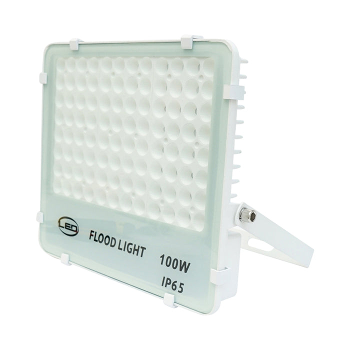 Proiettore LED 100W, 220V, 6500K, IP65, 310x270x50mm