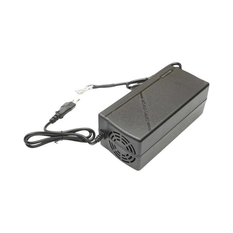 Caricabatterie intelligente automatico da 25,6 V 10 A per batterie LiFePO4 con protezioni multiple