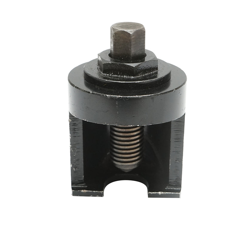 DISMG16_2_ed529a80-ec9a-4679-9b13-ef55f12950d0.jpeg (28527429)