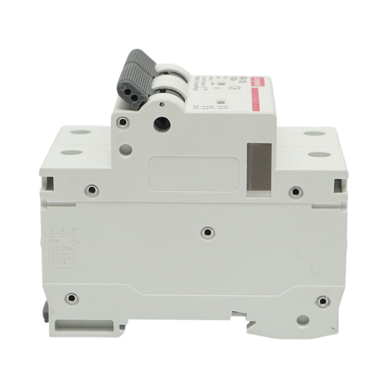 Interruttore automatico magnetotermico (MCB) Longroad, 2P, 100A, 415VAC, 6kA