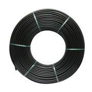 DISLS80_2_jpg.jpeg (28529424)