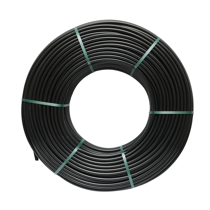 DISLS80_2_jpg.jpeg (28529424)