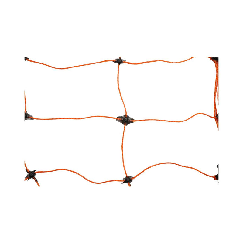 DISFN53_3_0bed6501-fe2f-4b74-9e97-5bf39451a95d.jpeg (28528632)