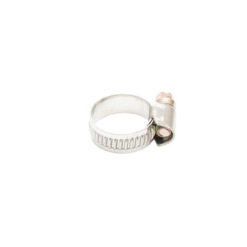 Fascetta stringitubo regolabile in acciaio inox 12-20A