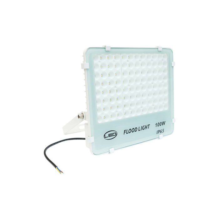 Proiettore LED 100W, 220V, 6500K, IP65, 310x270x50mm