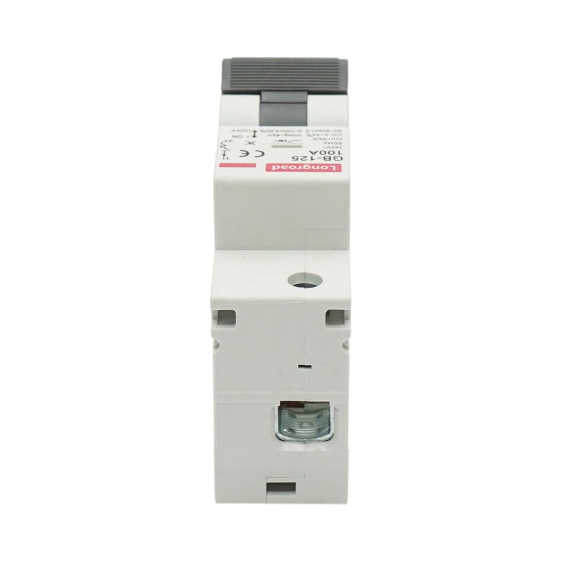 Interruttore automatico magnetotermico (MCB) Longroad, 1P, 100 A 240 V CA, 6 kA