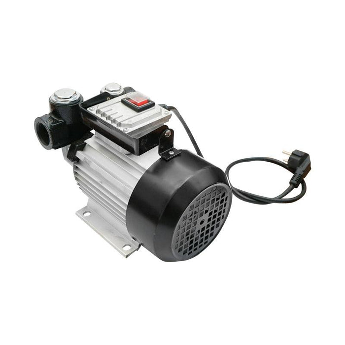 Pompa Carburante 220V 550W Pompa di Trasferimento del Combustibile Diesel 60l/min Breckner Germany