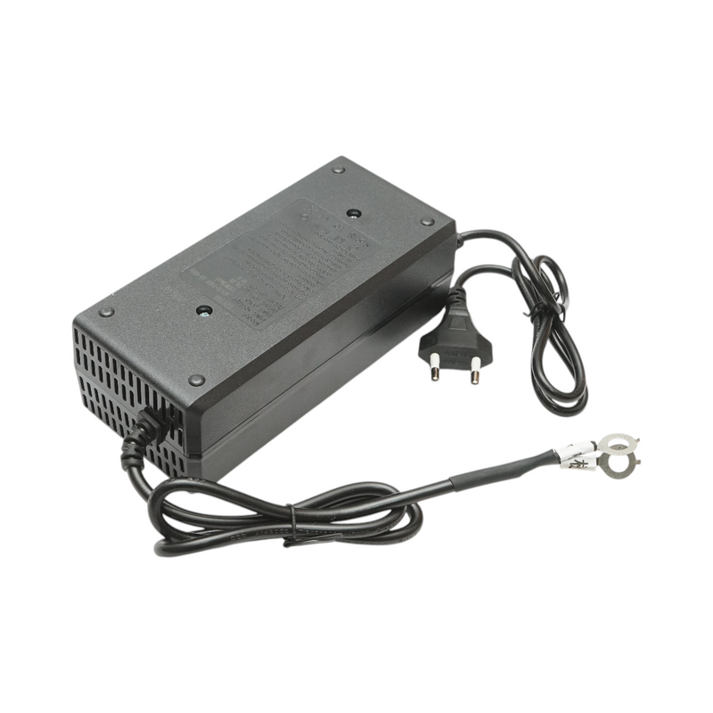 Caricabatterie intelligente automatico da 12,8 V e 10 A per batterie LiFePO4, dotato di protezioni multiple.