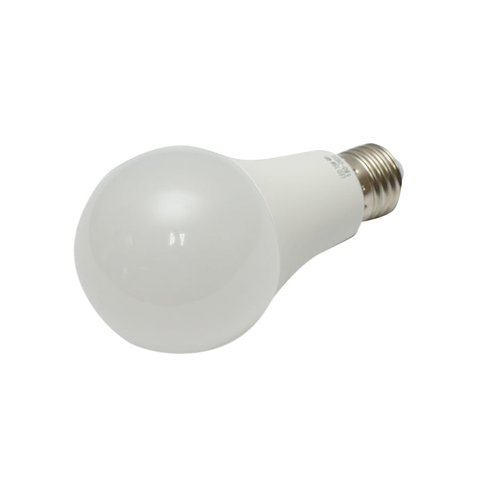 Lampadina LED 15W 220V E27