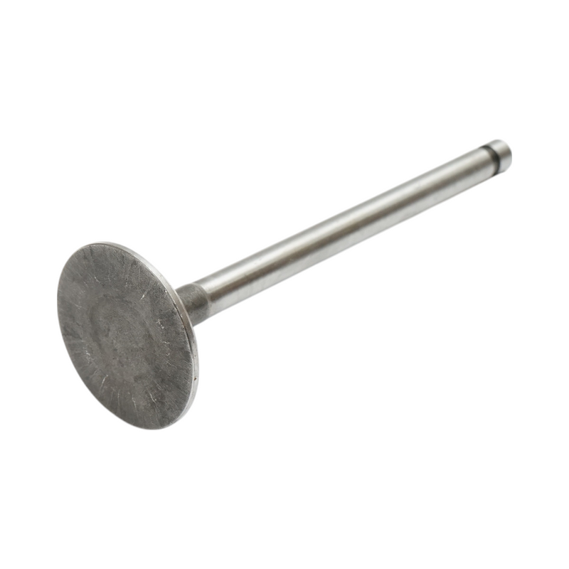 Valvola di aspirazione Ford, codici OEM 81823823, 81842750, 87295251, C5NN6507B, D3NN6507A