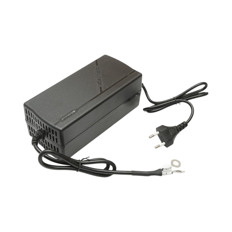 Caricabatterie intelligente automatico da 25,6 V 10 A per batterie LiFePO4 con protezioni multiple