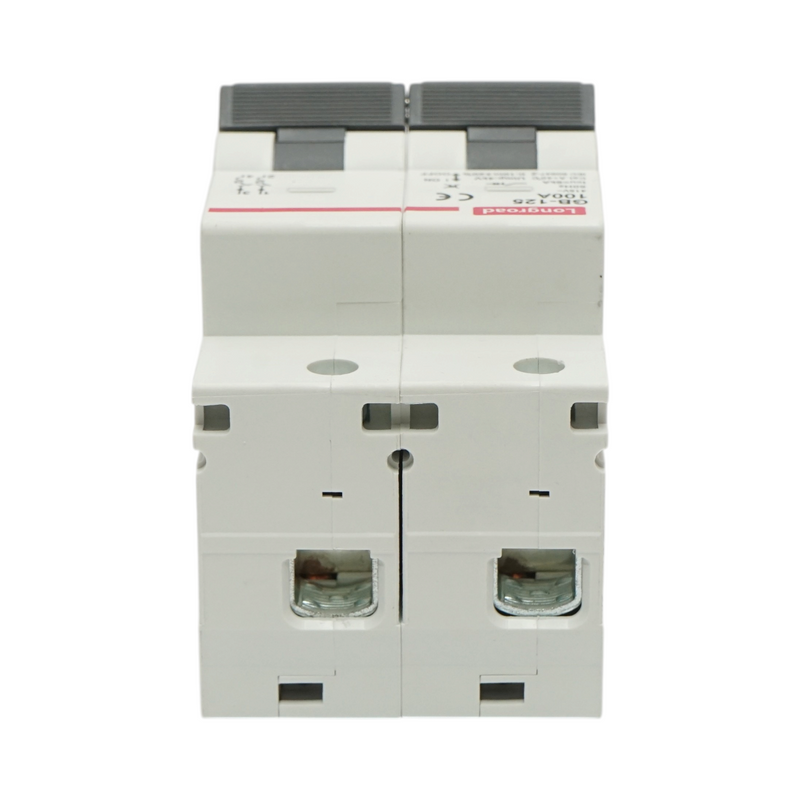 Interruttore automatico magnetotermico (MCB) Longroad, 2P, 100A, 415VAC, 6kA