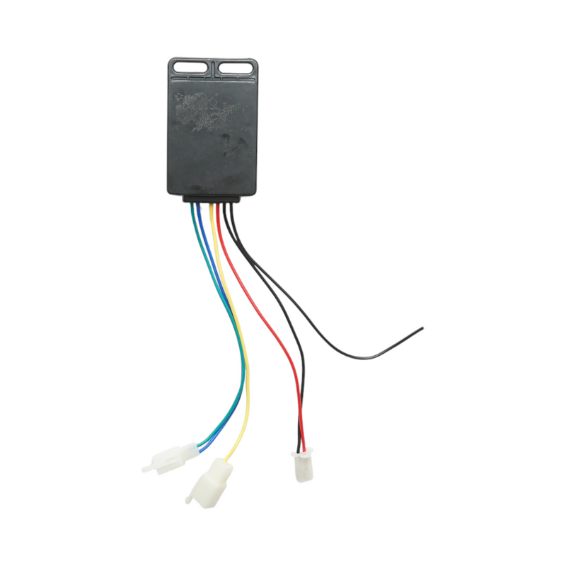 Modulo di controllo per kit di ribaltamento idraulico per triciclo elettrico da 1 tonnellata DISFE06