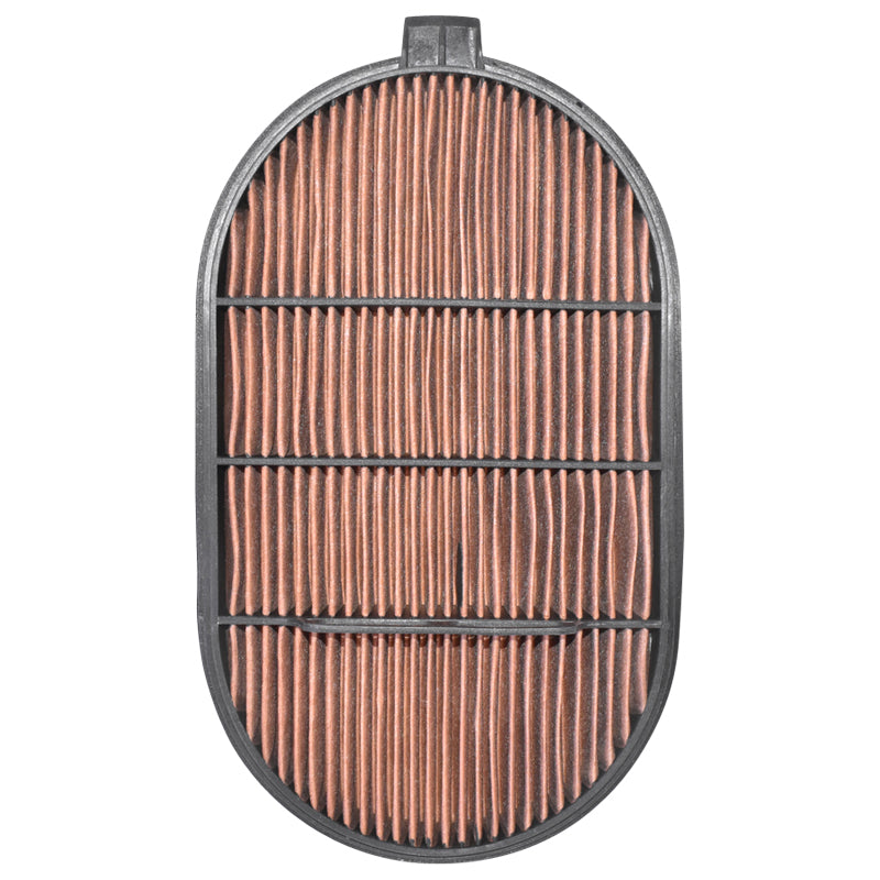 Filtro aria Fendt P601560