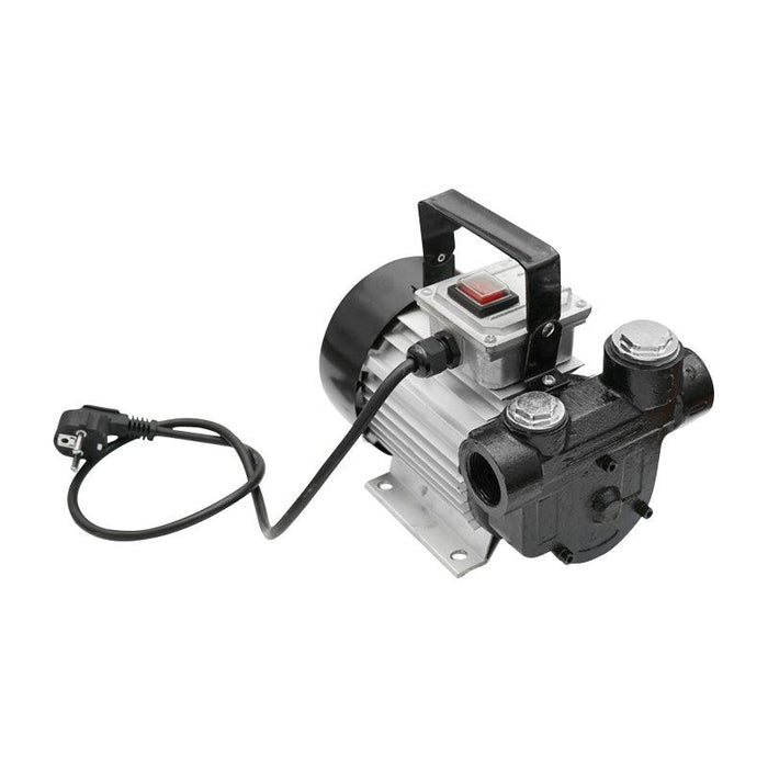 Pompa Carburante 220V 550W Pompa di Trasferimento del Combustibile Diesel 60l/min Breckner Germany