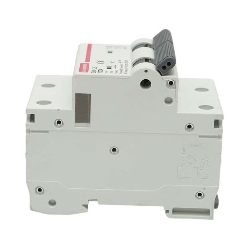 Interruttore automatico magnetotermico (MCB) Longroad, 2P, 100A, 415VAC, 6kA
