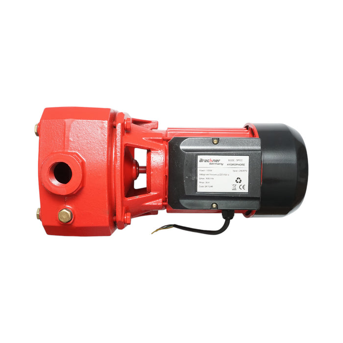 Elettropompa Autoadescante Pompa di superficie 1100W, 220V, prevalenza 38 metri, portata 100 litri/minuto, modello DP505 Breckner Germany