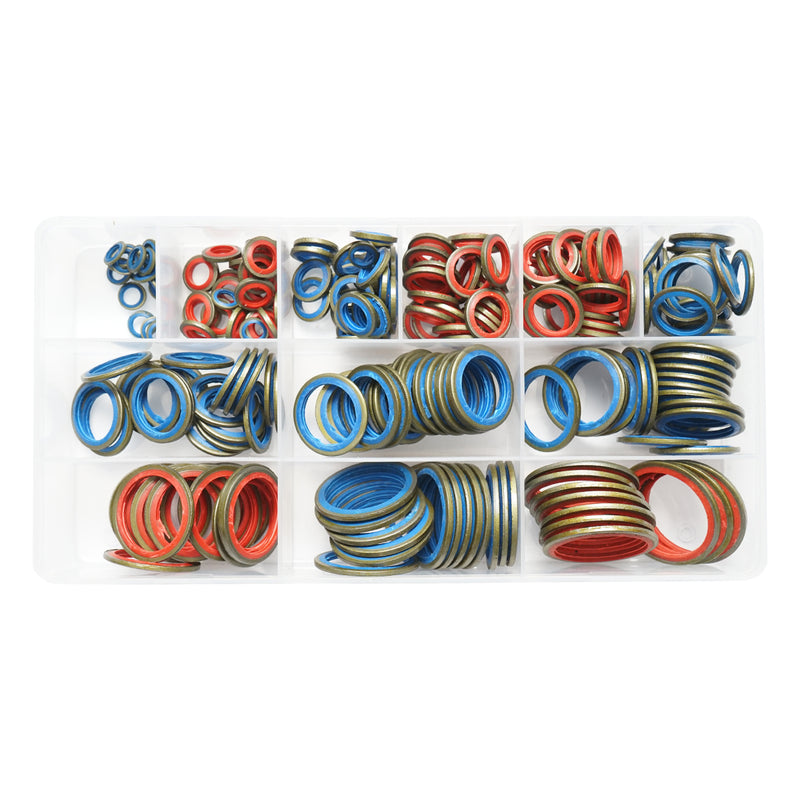 Set di guarnizioni in metallo e gomma (rondelle combinate) BSP 245 pezzi