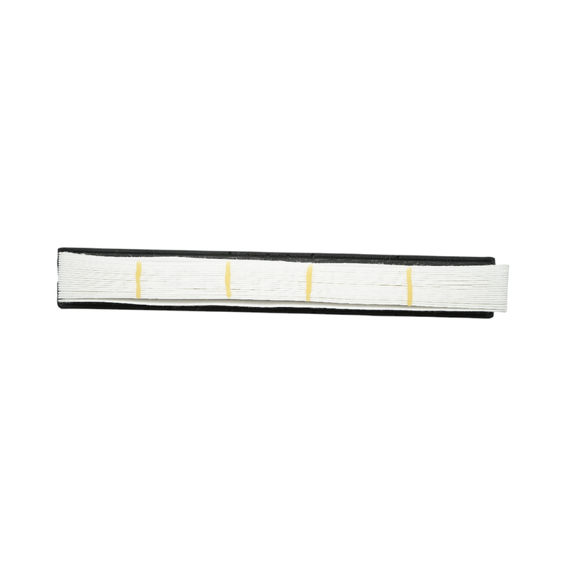 Filtro aria abitacolo Deutz Fahr, Lamborghini 550x75x73 mm, codice OEM 0.017.2976.2/30, SC50319