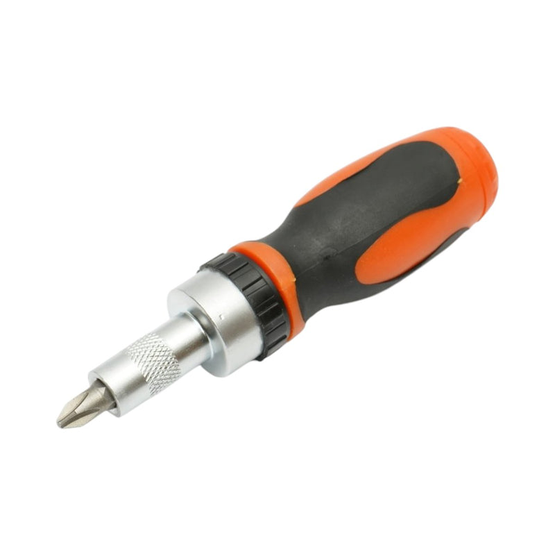Set di cacciaviti a cricchetto da 31 pezzi con inserti esagonali, Torx, PH e PZ (Cr-V)
