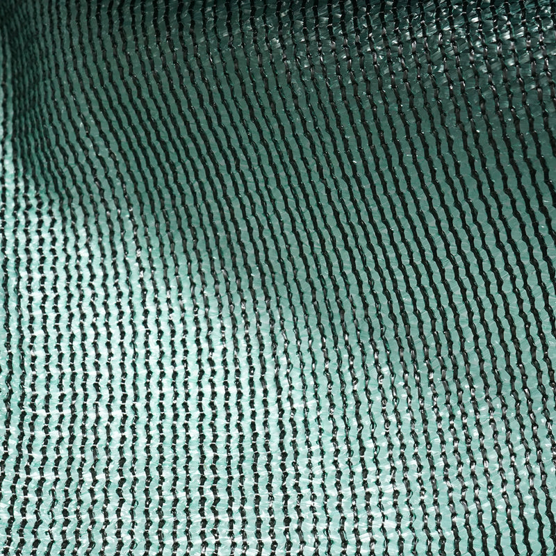 DISLN66_4_cff4a249-34d9-4a19-b532-c7072ee95cee.jpeg (28528646)