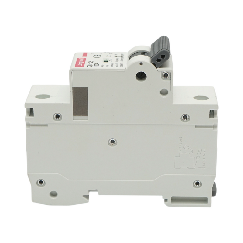Interruttore automatico magnetotermico (MCB) Longroad, 1P, 100 A 240 V CA, 6 kA