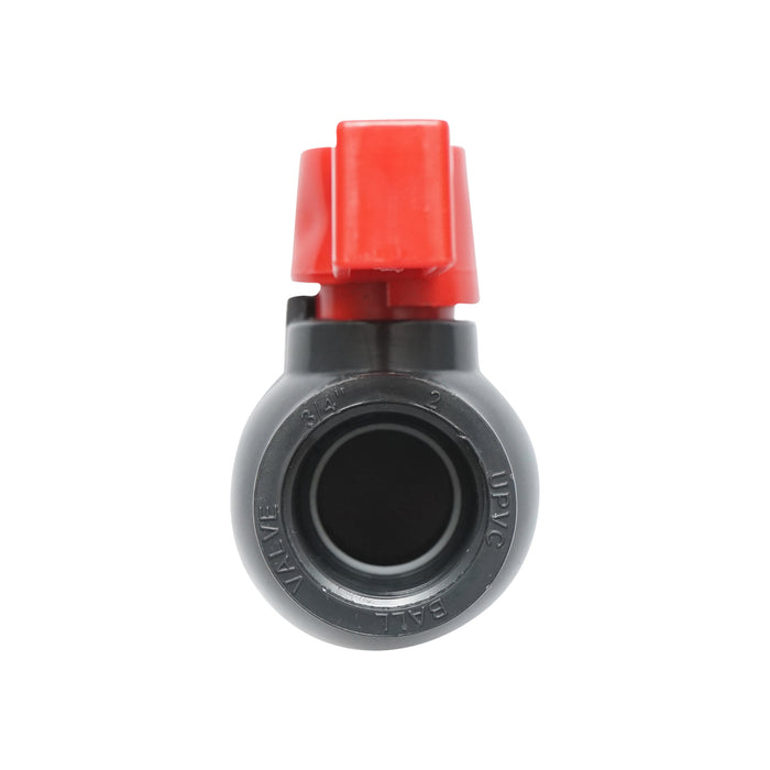Rubinetto IBC 3/4 pollici.